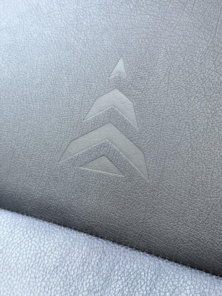 Viggen delta-wing emboss pressed into the sport seat bolster